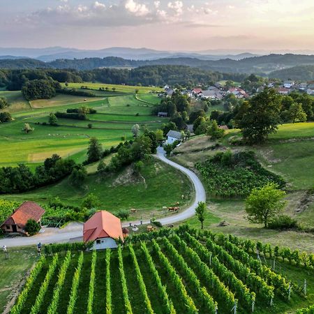 Vineyard Cottage Krivic Trebelno Exterior photo
